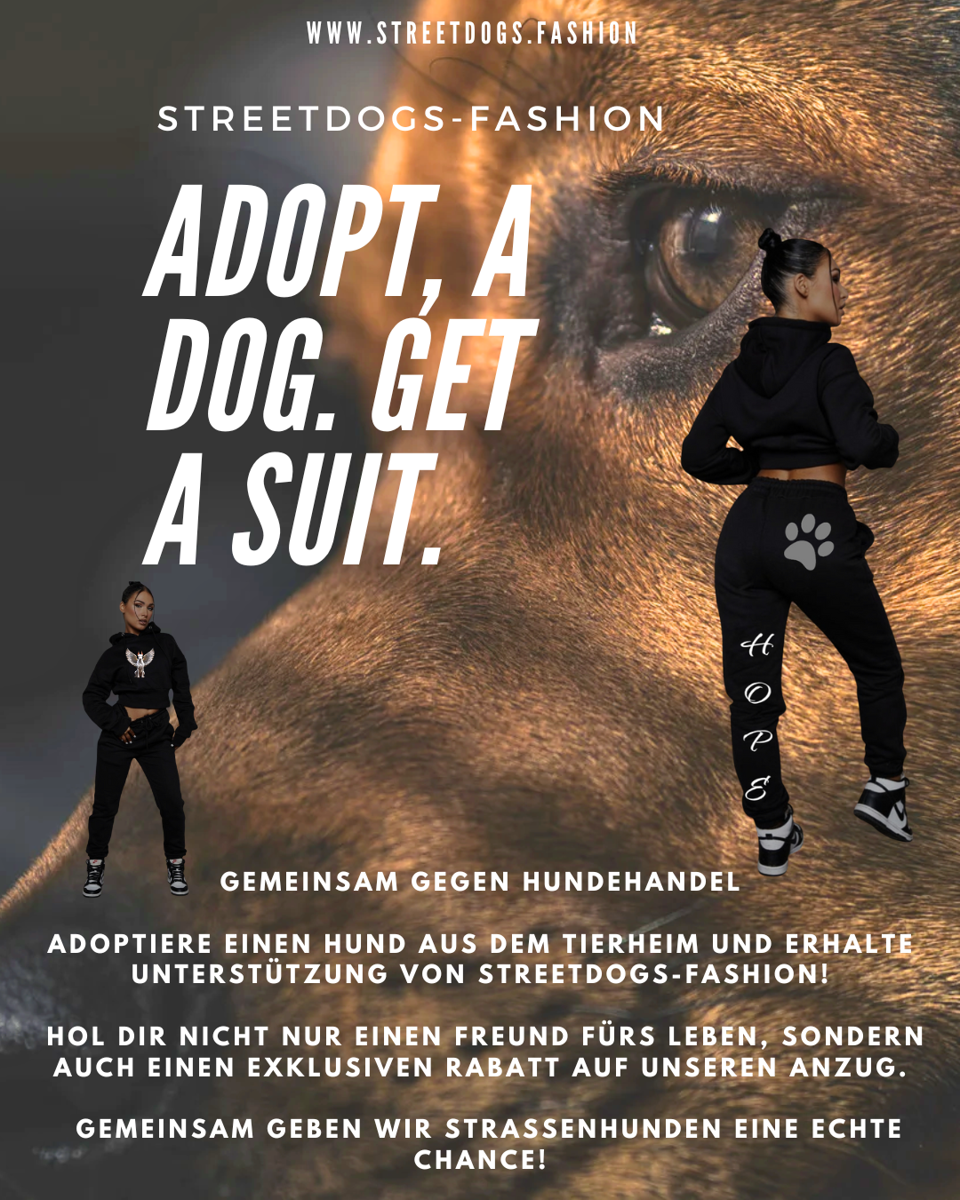 Adopt a Dog, Get a Suit“ – Wie StreetDogs-Fashion und Tierheime gemeinsam Leben verändern