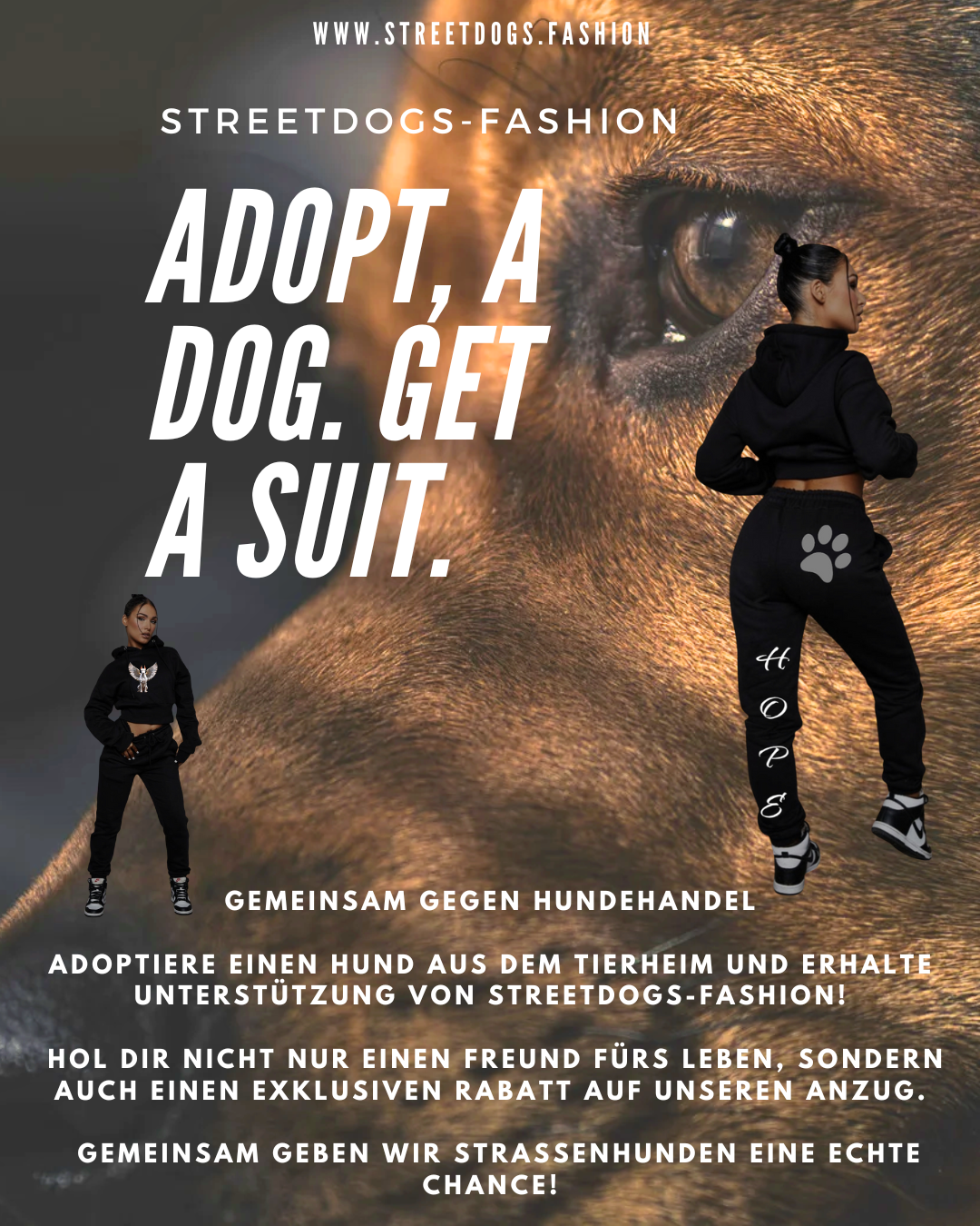 🐶 „Adopt a Dog, Get a Suit“ – Wie StreetDogs-Fashion & Tierheime gemeinsam Leben verändern! 🐾